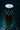 NiteStik Fat Whip (Single Whip), Each - Topspeed