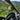 Offroad Cuero Race UTV Side Mirror Black - Topspeed